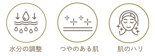 水分の調整 つやのある肌 ハリ